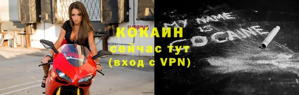 индика Каменка
