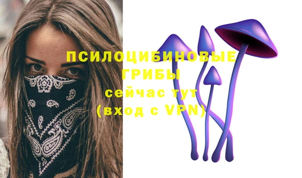 мескалин Инта